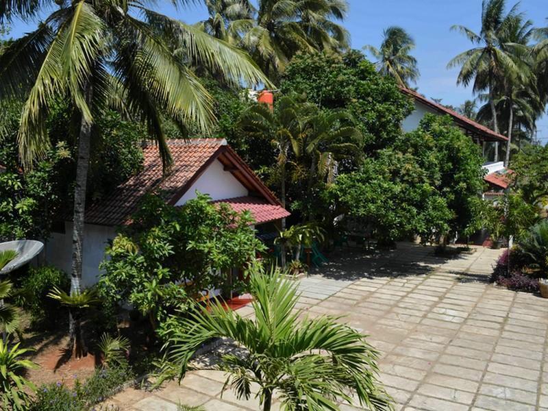 Mango Guesthouse 판강다란 외부 사진