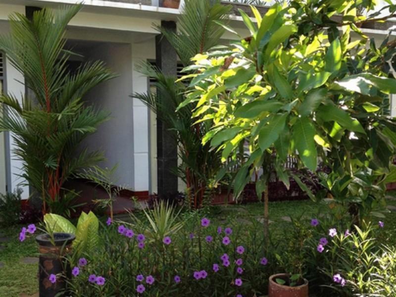 Mango Guesthouse 판강다란 외부 사진